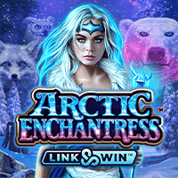 Arctic Enchantress