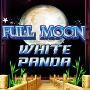 Full Moon: White Panda